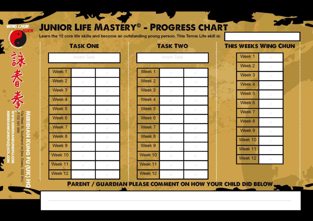 Junior Life Mastery Progress chart 2 frm meridian kung fu in basildon