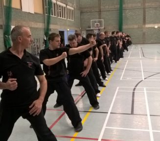 adult elite training lessons at meridian kung fu